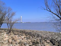 -上海吴淞炮台湾国家湿地公园