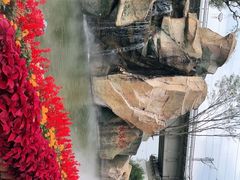 -枫林花海