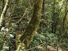 -七仙岭温泉国家森林公园