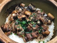-红星光发煲仔饭(文海店)