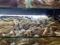 -麻屋手抓海鲜(防城港总店)