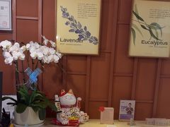 -LANN I 蘭·泰式古法按摩(高岛屋百货店)