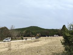 -秦始皇帝陵博物院-丽山园