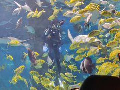 -北戴河圣蓝海洋公园
