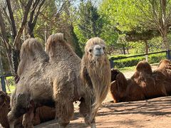 -长白岛森林公园