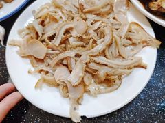 -十二忠手拉面(五福店)