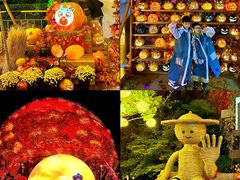 -郑州方特梦幻王国