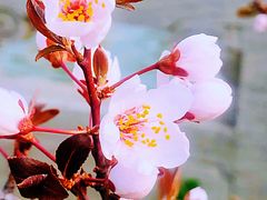 -迎泽公园