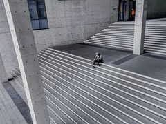 -良渚文化村