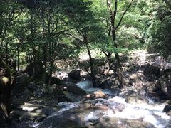 -白云源风景区