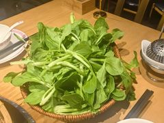 -老凯俚酸汤鱼(多彩城店)