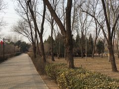 -古塔公园