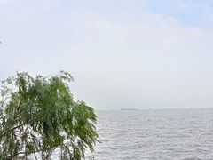 -上海吴淞炮台湾国家湿地公园