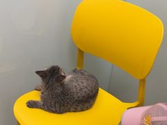 -宠福鑫康馨动物医院·骨科·眼科