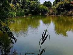 -梁鸿国家湿地公园