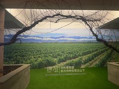 -源石酒庄