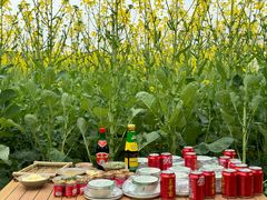 -中国天府农业博览园