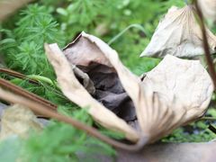 -行人小筑·茶馆(岑村火炉山分店)