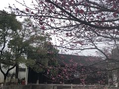 -丝绸小镇荻港古村