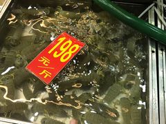 -湛江渔港·大排档(乐园路总店)
