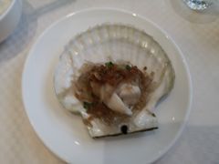 蒜蓉粉丝蒸扇贝-双井轩(双井店)