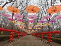 -洛阳市隋唐城遗址植物园