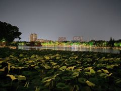 -济南大明湖景区
