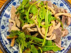 -九斤黄三黄鸡专卖店