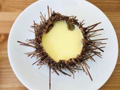 -海胆小馆(东北水饺·春柳店)