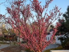 -泰州凤城河风景区-泰山公园
