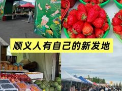 -顺鑫石门市场