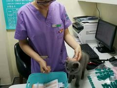 -瑞派宠物医院·24h·骨外科·皮肤科·全科宠物医疗转诊中心(沈阳浑南院)