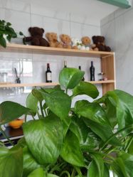 -纤纤玉手美甲美睫美容