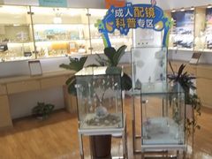 -天津大学爱尔眼科医院(天津总院)