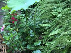 -驿舍·民國老营房院子私房菜(科学会堂店)