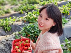 -盛世南宫影视城(北普陀影视城)
