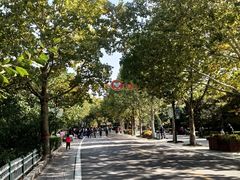 -石家庄市动物园