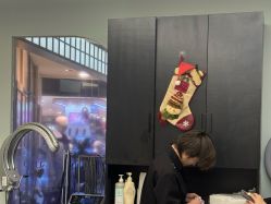 -Beauty Garden·花园美发