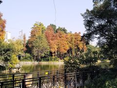 -晓港公园