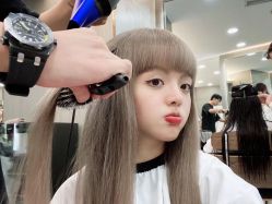 -IP SALON