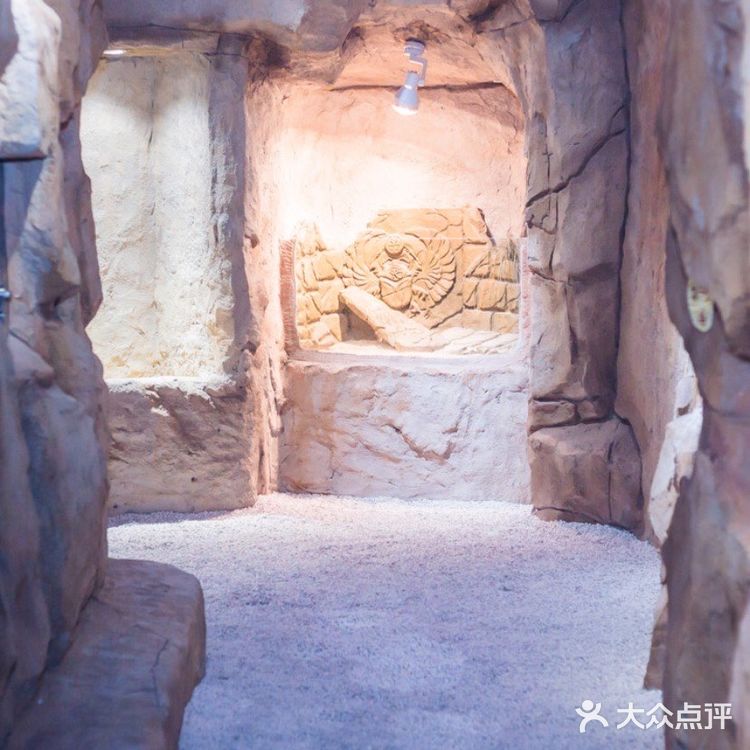 与萌宠的亲密接触,只要138元