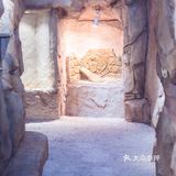 与萌宠的亲密接触，只要138元