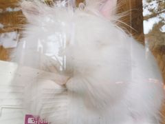 -小意思咖啡店(草桥店)