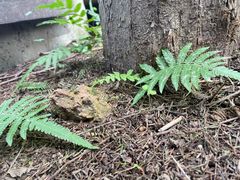 -南京金牛湖风景区