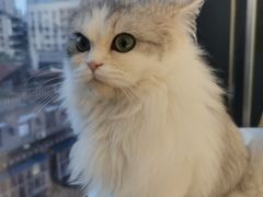 -怪兽屋·羊驼·猫咖·狗咖(俊华广场店)