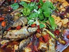 软烧土凤鱼-明升萝卜汤