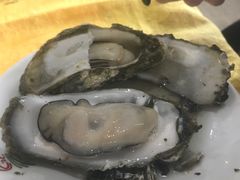 桑拿蚝-蚝专家(北滘店)