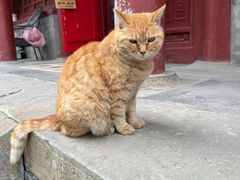 -大钟寺古钟博物馆