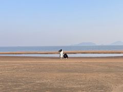 -普陀山风景名胜区-千步大沙