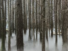 -东湖落雁景区